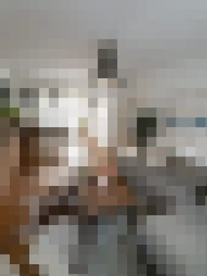 Papegaaistraat 43 Venlo thumbnail 4