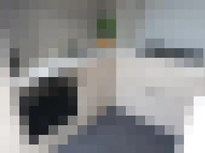 Papegaaistraat 43 Venlo thumbnail 7