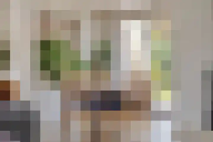 Papegaaiweg 15 Berlicum thumbnail 10