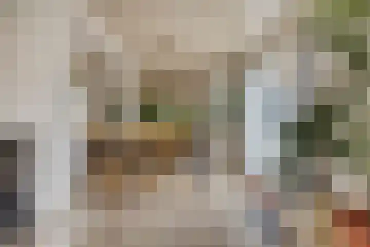 Papegaaiweg 15 Berlicum thumbnail 11