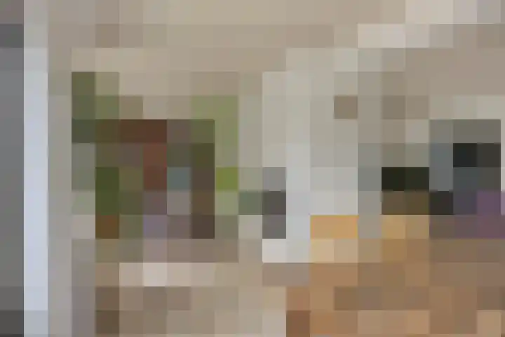 Papegaaiweg 15 Berlicum thumbnail 12