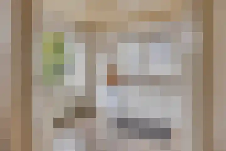 Papegaaiweg 15 Berlicum thumbnail 13
