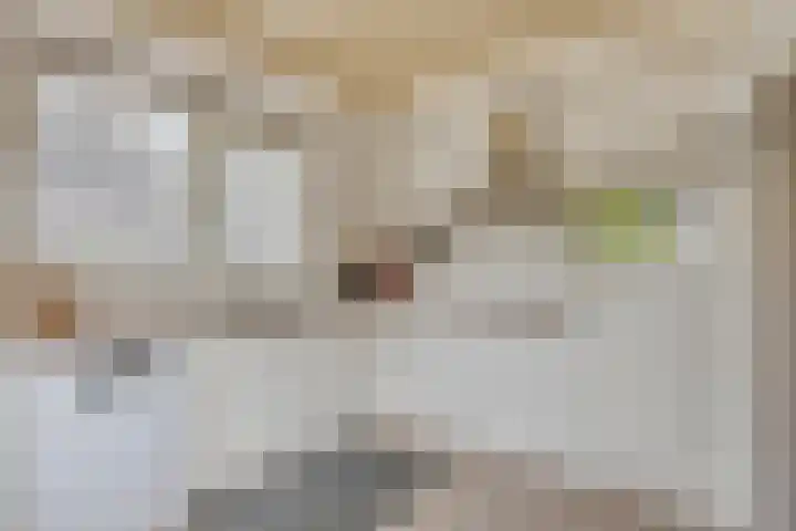 Papegaaiweg 15 Berlicum thumbnail 14