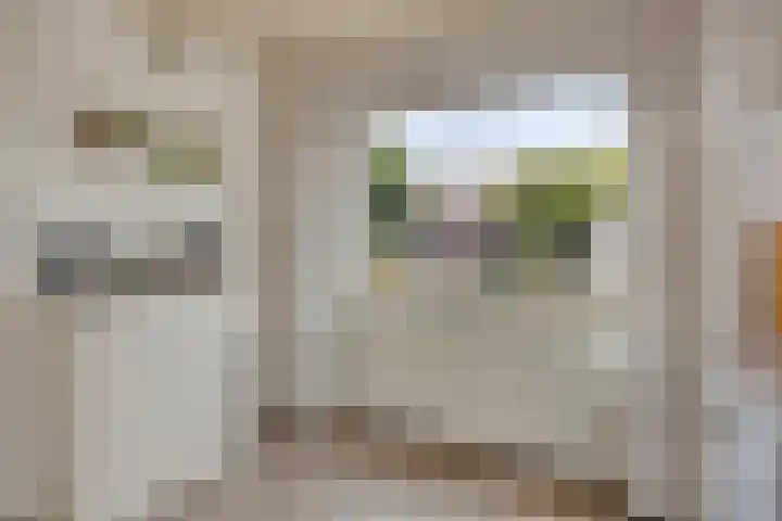 Papegaaiweg 15 Berlicum thumbnail 16