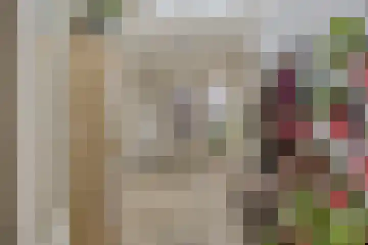 Papegaaiweg 15 Berlicum thumbnail 17
