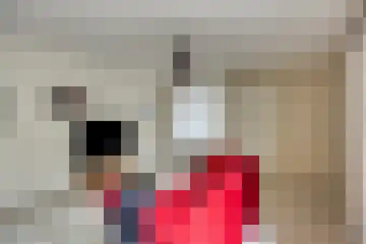 Papegaaiweg 15 Berlicum thumbnail 19