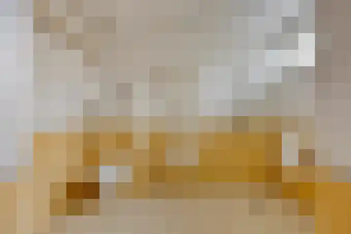 Papegaaiweg 15 Berlicum thumbnail 20