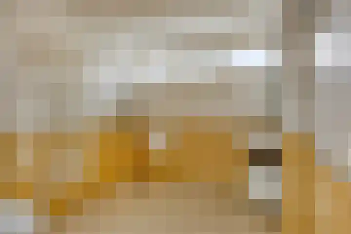 Papegaaiweg 15 Berlicum thumbnail 21