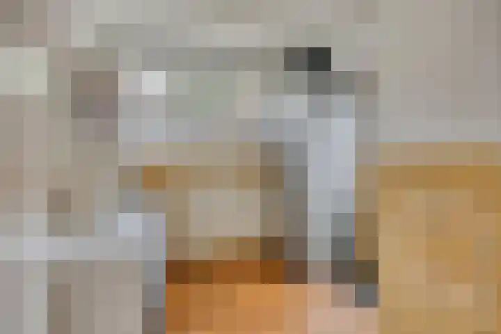 Papegaaiweg 15 Berlicum thumbnail 22