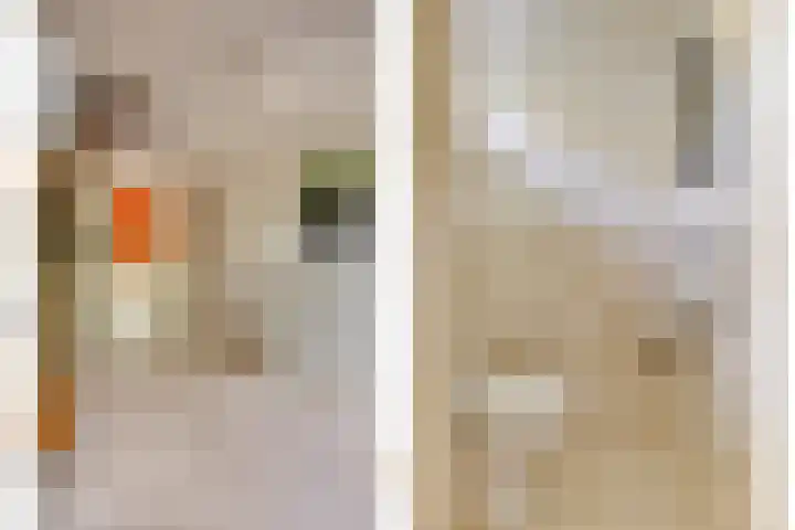 Papegaaiweg 15 Berlicum thumbnail 25