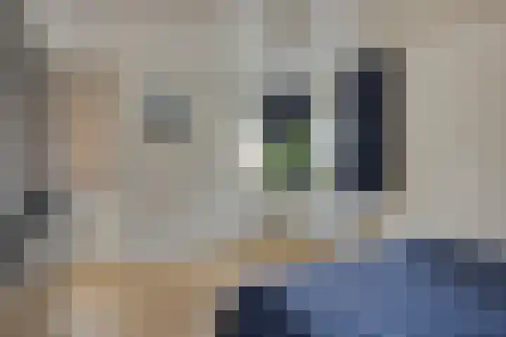 Papegaaiweg 15 Berlicum thumbnail 28