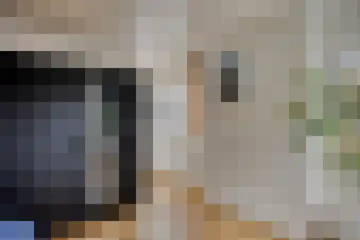 Papegaaiweg 15 Berlicum thumbnail 29