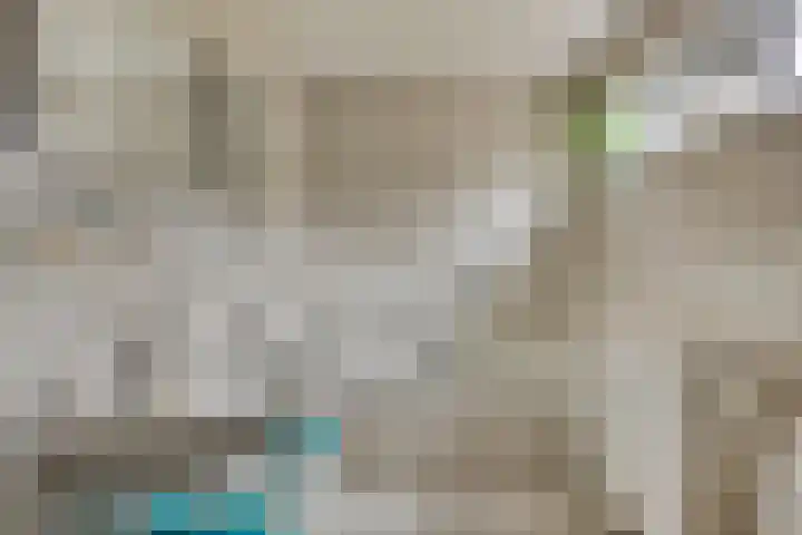 Papegaaiweg 15 Berlicum thumbnail 30