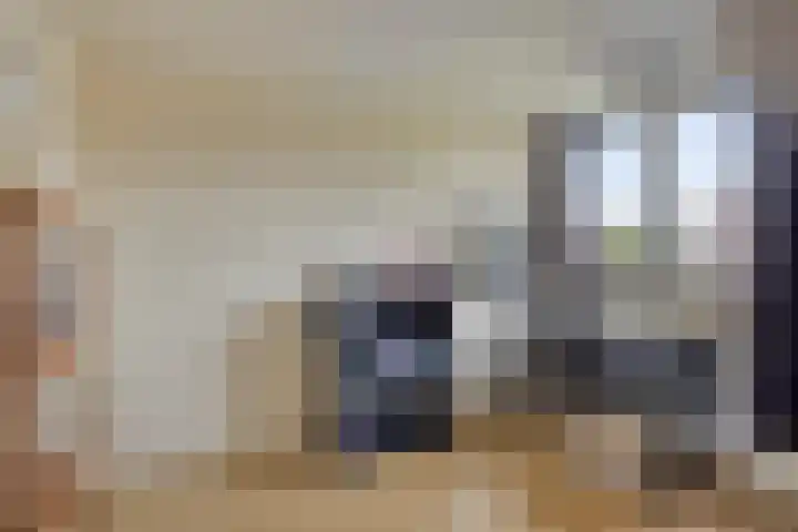 Papegaaiweg 15 Berlicum thumbnail 34