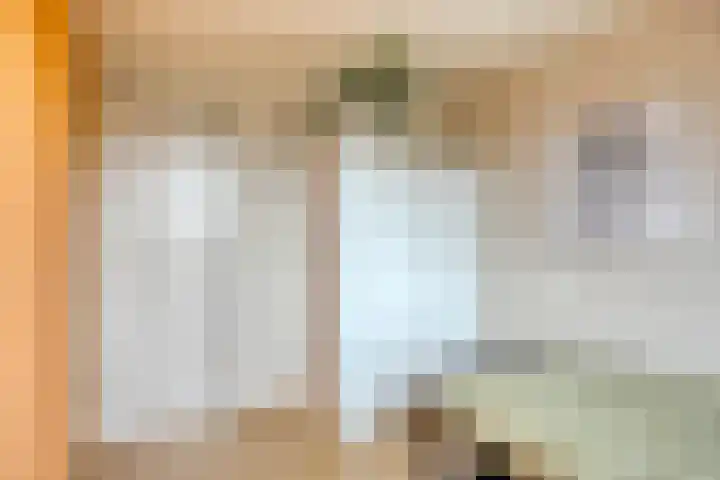 Papegaaiweg 15 Berlicum thumbnail 37