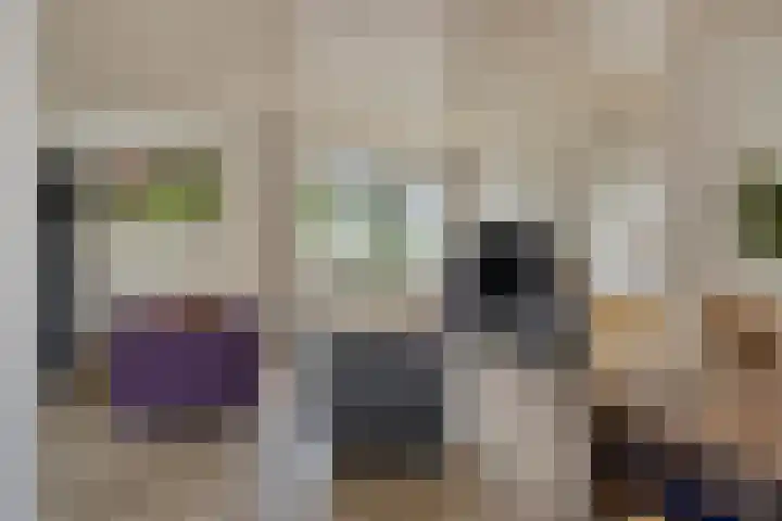 Papegaaiweg 15 Berlicum thumbnail 4