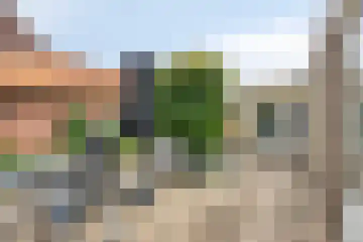 Papegaaiweg 15 Berlicum thumbnail 40