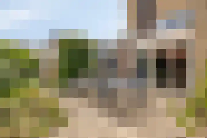 Papegaaiweg 15 Berlicum thumbnail 41
