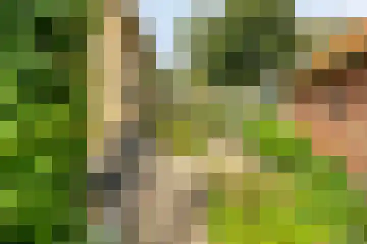 Papegaaiweg 15 Berlicum thumbnail 42