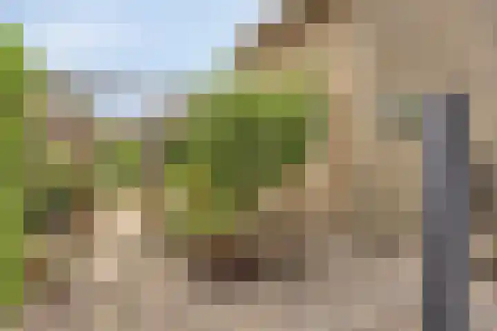 Papegaaiweg 15 Berlicum thumbnail 43