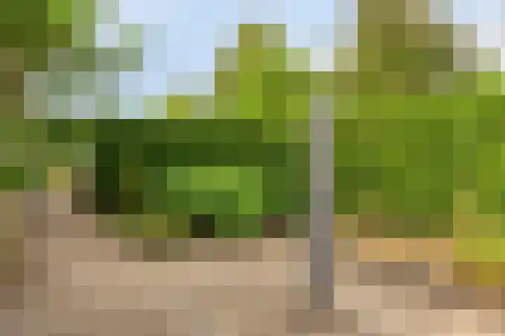 Papegaaiweg 15 Berlicum thumbnail 44