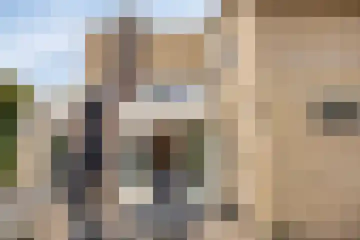 Papegaaiweg 15 Berlicum thumbnail 46