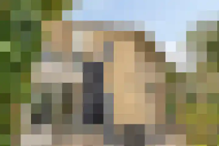Papegaaiweg 15 Berlicum thumbnail 47