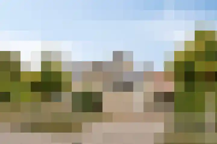 Papegaaiweg 15 Berlicum thumbnail 50