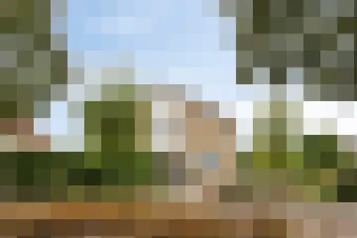 Papegaaiweg 15 Berlicum thumbnail 51