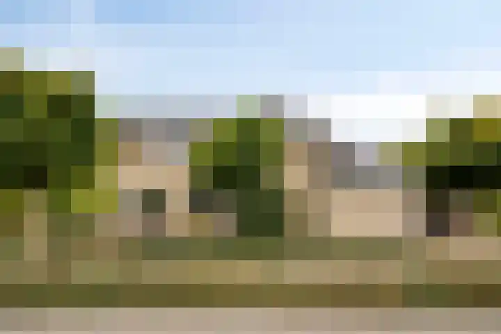 Papegaaiweg 15 Berlicum thumbnail 52