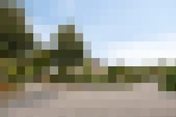 Papegaaiweg 15 Berlicum thumbnail 53