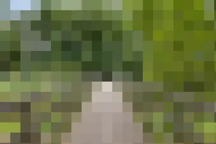 Papegaaiweg 15 Berlicum thumbnail 54