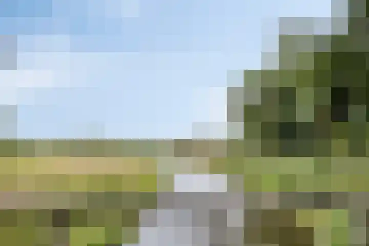 Papegaaiweg 15 Berlicum thumbnail 55