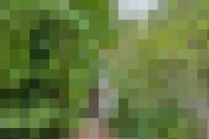 Papegaaiweg 15 Berlicum thumbnail 56