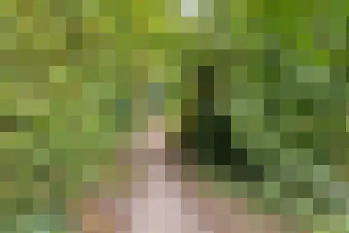 Papegaaiweg 15 Berlicum thumbnail 57