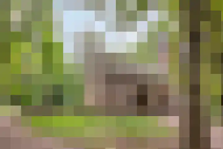 Papegaaiweg 15 Berlicum thumbnail 58