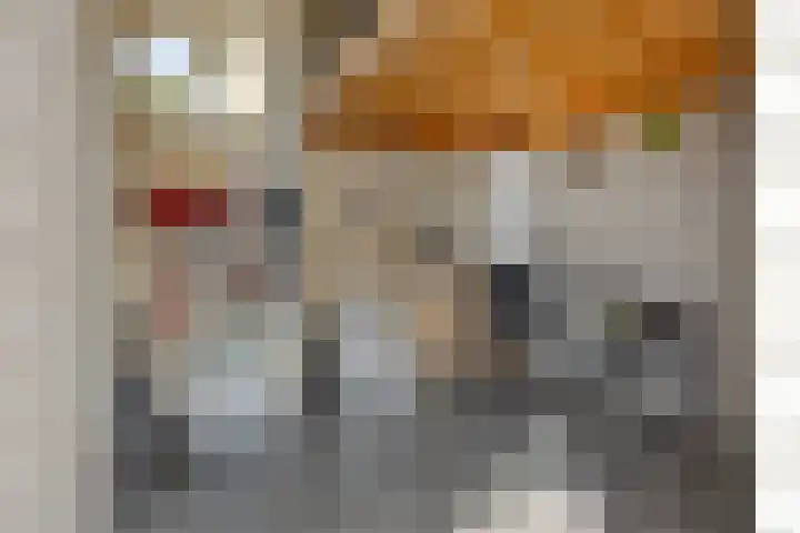 Papegaaiweg 15 Berlicum thumbnail 59
