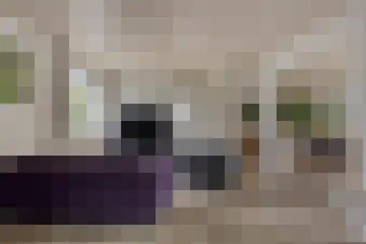 Papegaaiweg 15 Berlicum thumbnail 6