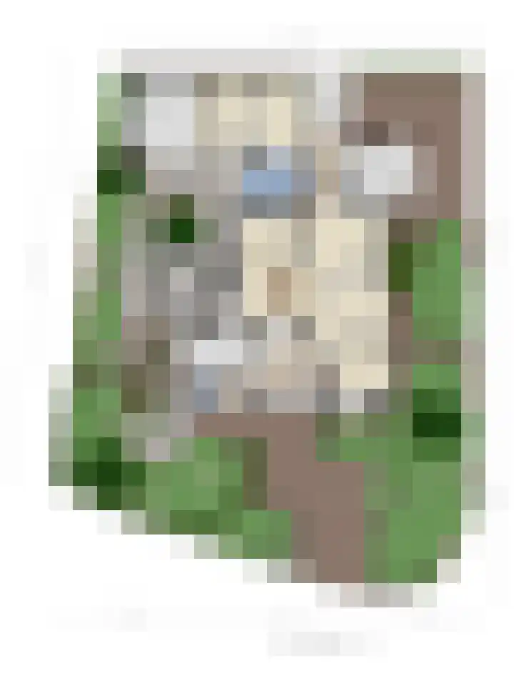 Papegaaiweg 15 Berlicum thumbnail 61