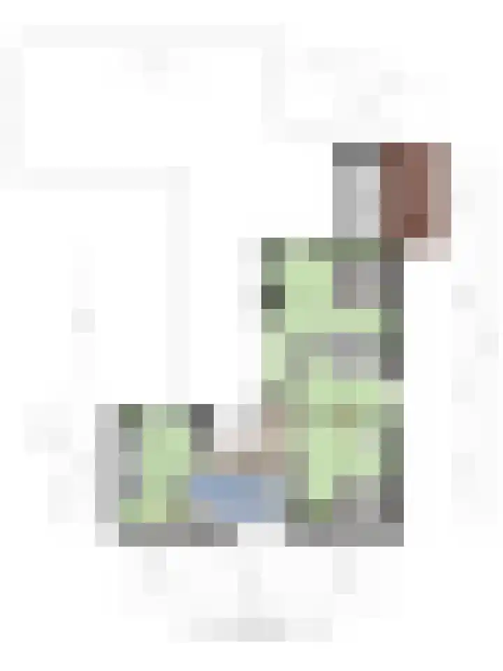 Papegaaiweg 15 Berlicum thumbnail 62