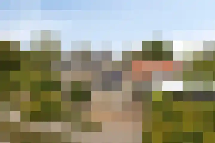 Papegaaiweg 15 Berlicum thumbnail 64