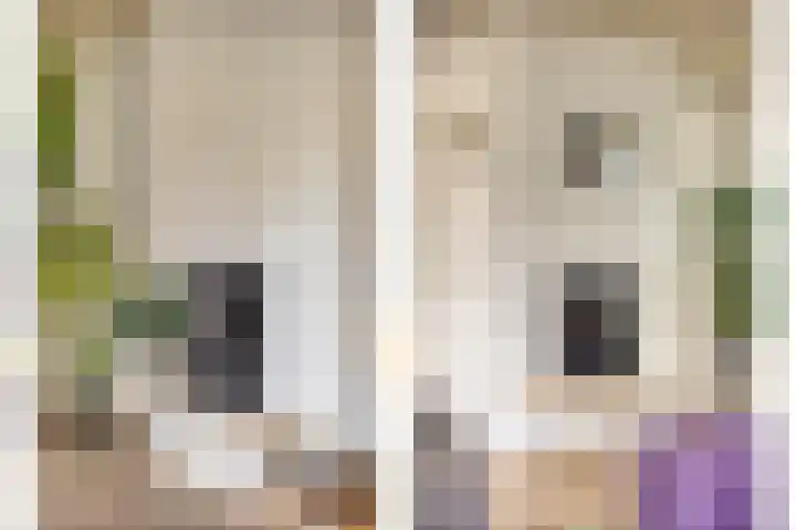Papegaaiweg 15 Berlicum thumbnail 8