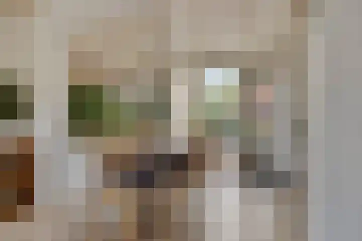 Papegaaiweg 15 Berlicum thumbnail 9
