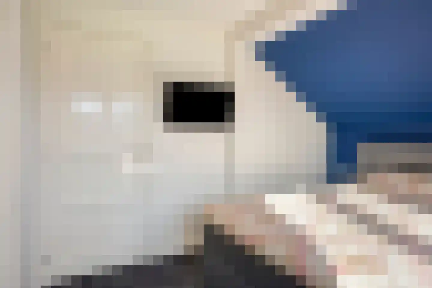 Papegaaiweg 61 Wenum Wiesel thumbnail 19