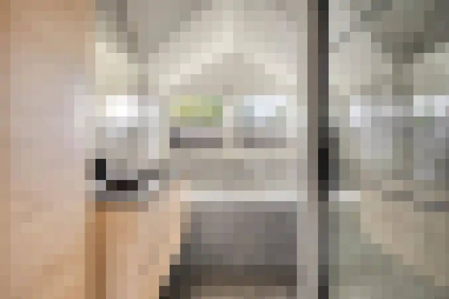 Papegaaiweg 61 Wenum Wiesel thumbnail 22