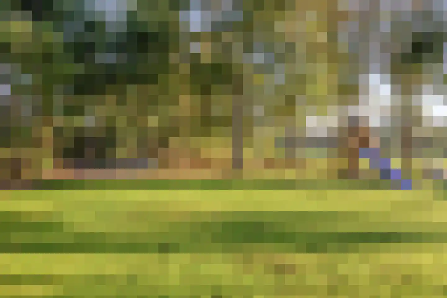 Papegaaiweg 61 Wenum Wiesel thumbnail 30