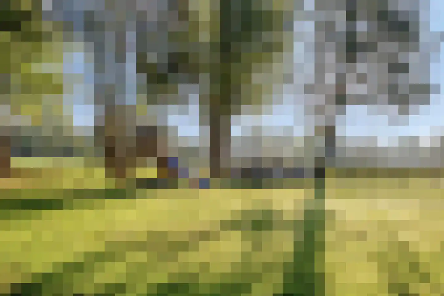 Papegaaiweg 61 Wenum Wiesel thumbnail 31