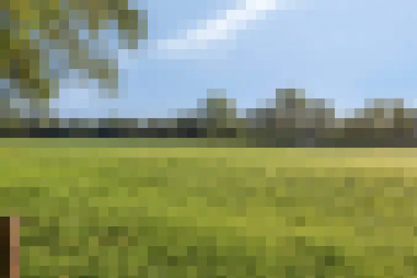 Papegaaiweg 61 Wenum Wiesel thumbnail 37