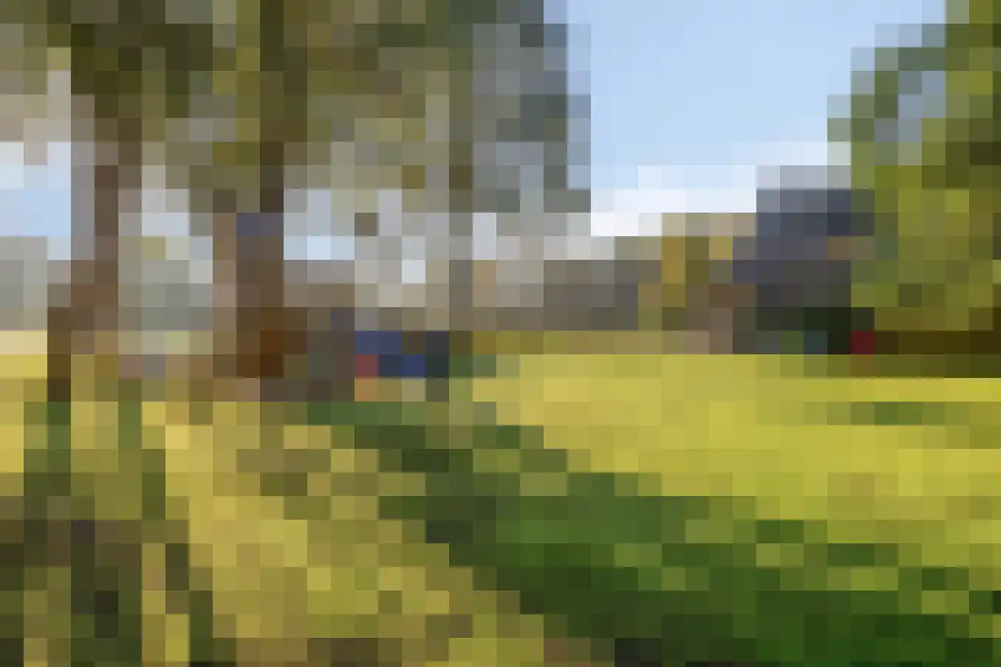 Papegaaiweg 61 Wenum Wiesel thumbnail 5