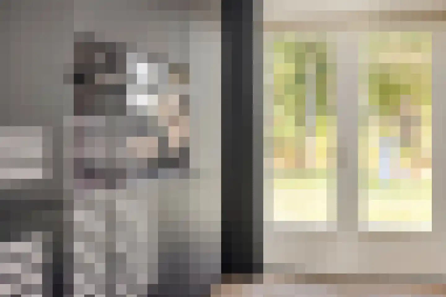 Papegaaiweg 61 Wenum Wiesel thumbnail 9